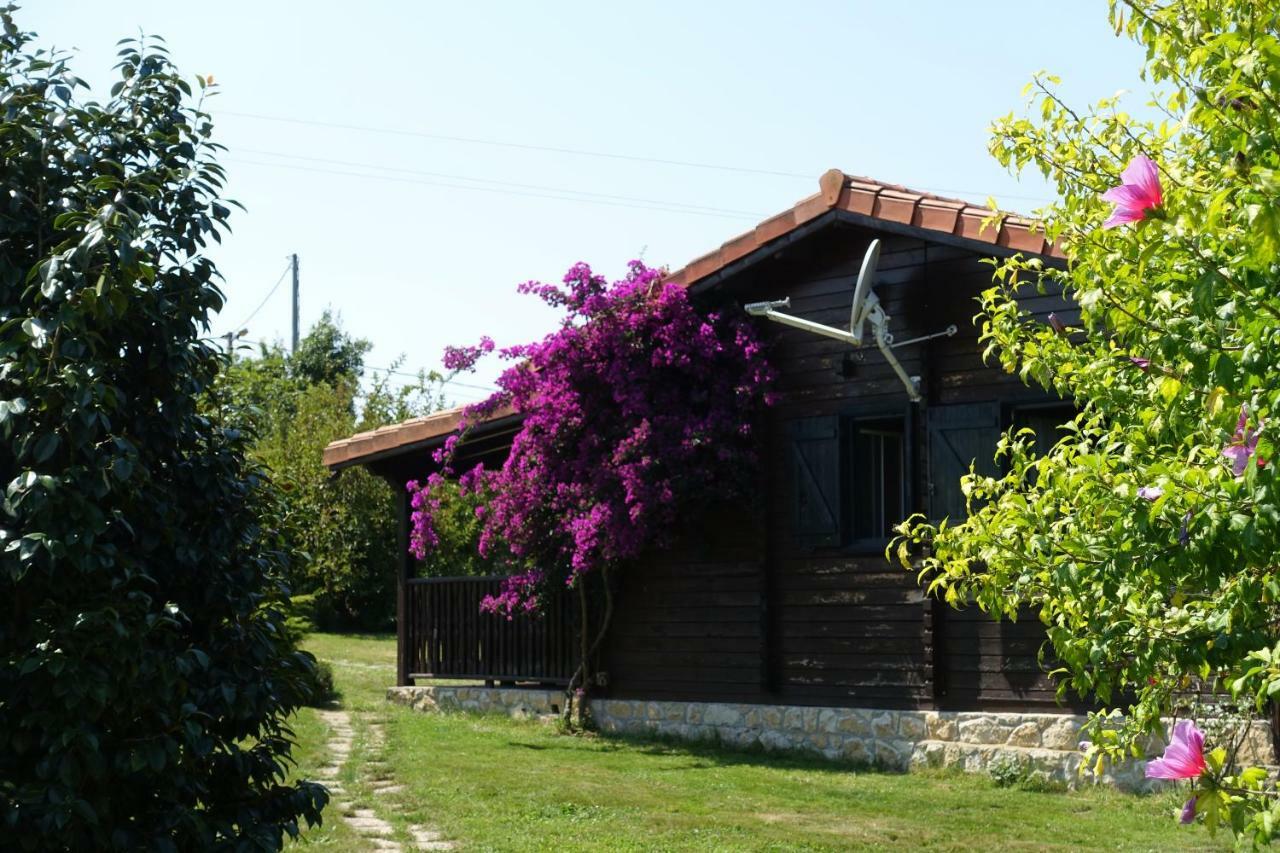La Casa del Carballo Pisones Exterior foto